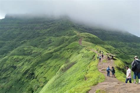 TRAVEL LYKKE (2026) All You Need to Know BEFORE You Go (with Photos ...