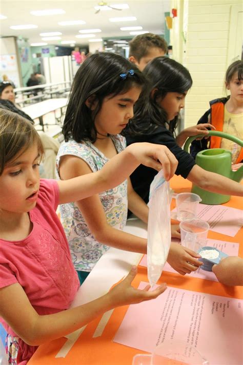 Science Fair Experiments 的图像结果