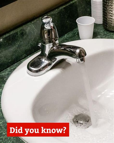 American Pest Control (@americanpestcontrolsd) • Instagram photos and ...