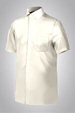 Van Heusen Shirt, Van Heusen My Fit Shirt for Men at Vanheusenindia.com