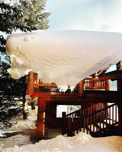 Timber Moose Lodge (@timbermooselodge) • Instagram photos and videos