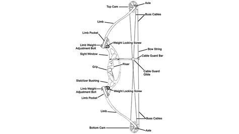 Compound Bow Basics 的图像结果