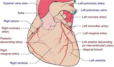 Image result for Random or Regular Pattern Worksheet