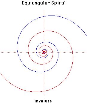 Equiangular Compass 的图像结果