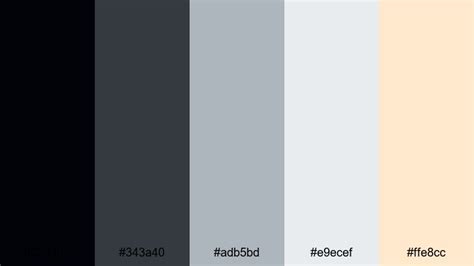 The Best 15 Black Color Palette Ideas for Video & Design