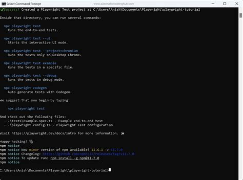 Image result for Playwright Automation Script Example