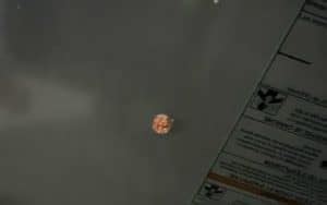 Bryant Error Code 33 的图像结果