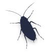 Best Pest Control Services in Vadodara | Pre construction Termite ...