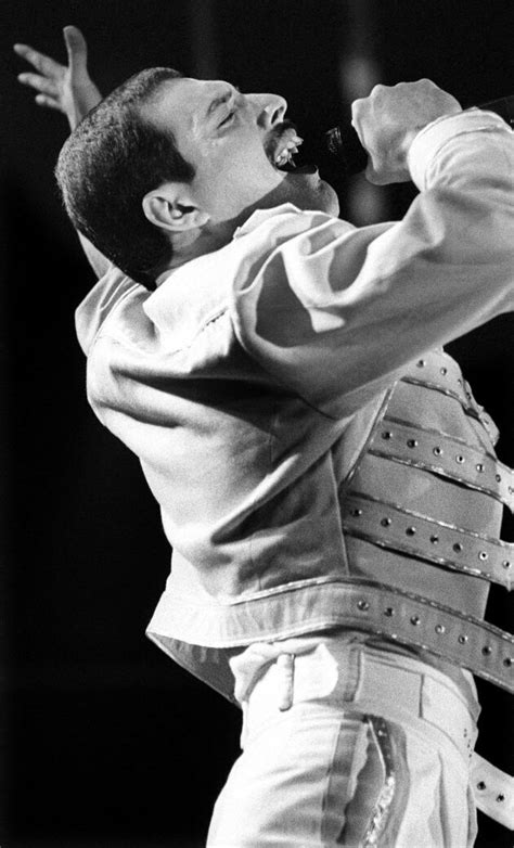 Pin by Jane Desilet on Freddie Mercury and Queen | Queen freddie ...