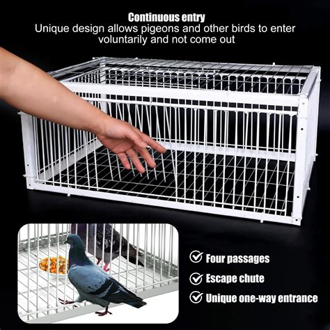 Metal Pigeon Trap Feral Pigeon Trap, Multi Catch Feral Pigeon Trap,The ...