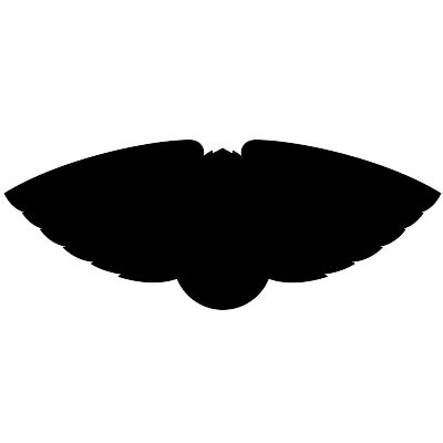 Image result for AAA.com Pelicans