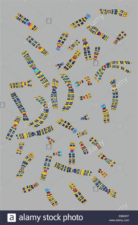 Electron Microscope Drawing 的图像结果