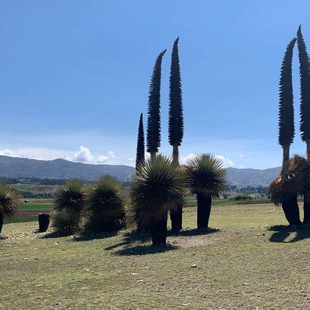 Huancaraylla Tours Peru (Ayacucho) - 2022 What to Know Before You Go ...