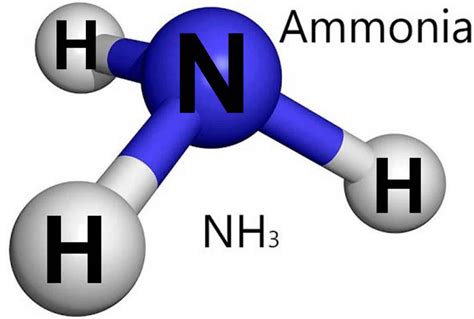 ¿Cómo reaccionan NH4 + y NH3 juntos? La Ciencia y la Tecnología mejoran ...