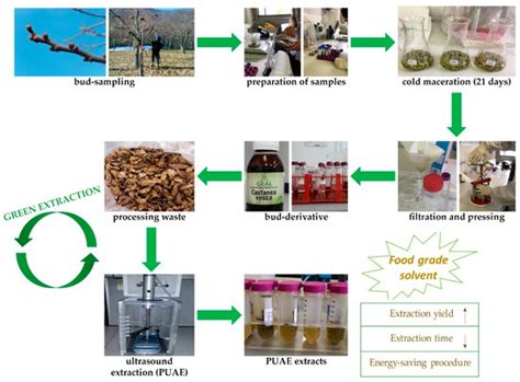 Sustainability | Special Issue : Green Extraction Technologies and ...