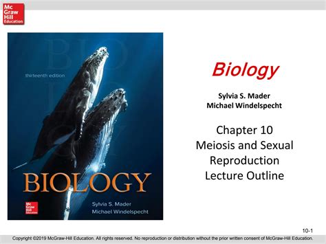 SOLUTION: Life cycle of cells ( meiosis & mitosis ) - Studypool