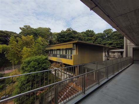 Five winners crowned at Tokyo Chess Festival 2022 - ChessBase India