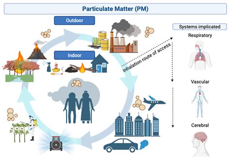 Etiology and Route of Access of Particulate Matter | Encyclopedia MDPI