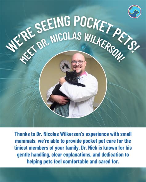 Best Vet Hospital In Framingham, MA | Slade Veterinary Hospital