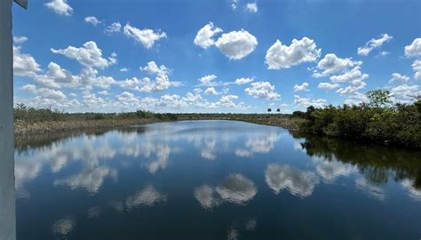 Image result for Alien Life Planet