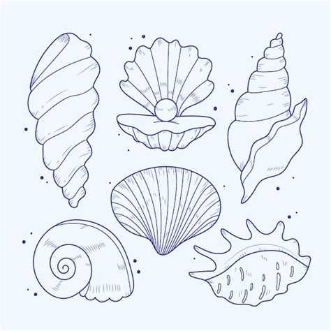 Image result for Shell Line Art