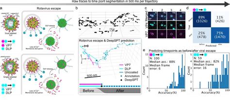 Image result for Single Particle Tracking Algorithm