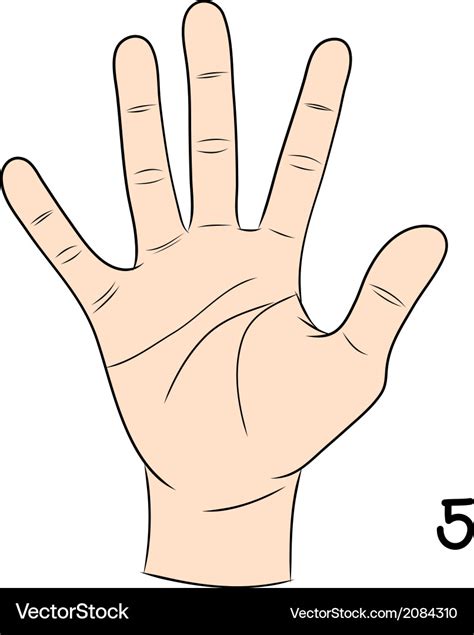 5 in Sign Language 的图像结果