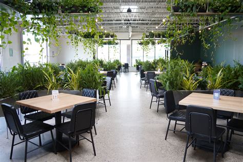 Wandering Leaf Brewing Company