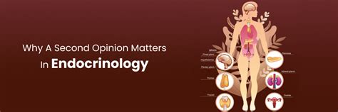 Know Why Endocrinology Second Opinion Matters