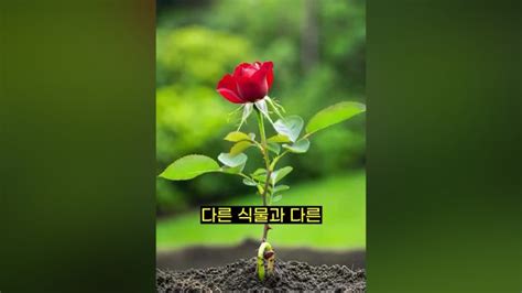 Image result for Sampling Frame Not Included