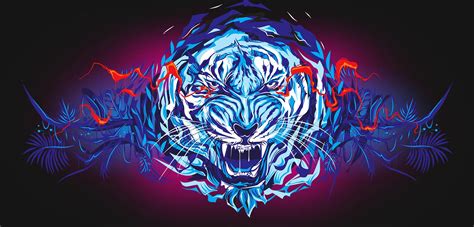 Image result for Corel Graphics