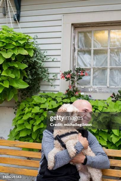 Image result for Cockapoo Adult with Human