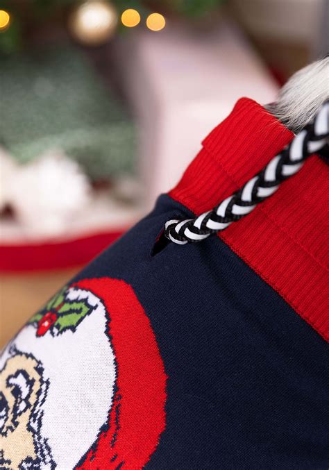 Vintage Santa Dog Sweater