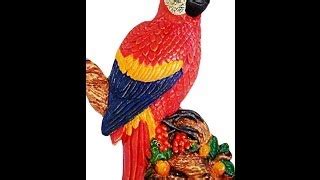 Como pintar uma arara | Cantinho do Video