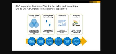 SAP IBP SOP Module 的图像结果
