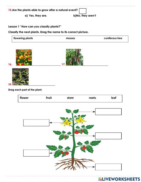 Science Worksheets 的图像结果