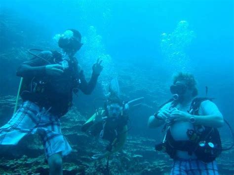 Blue Persuasion Diving Guam (Tamuning) - 2021 What to Know Before You ...