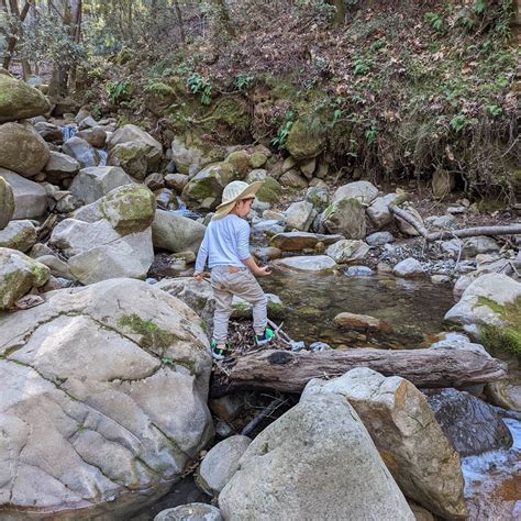Uvas Canyon County Park Camping | New Almaden, California