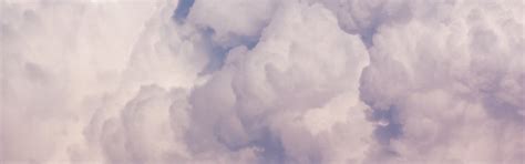 Download wallpaper the sky, clouds, bird, nature, bird, clouds, section ...