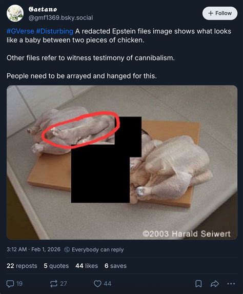 Fact Check: Epstein files mention cannibalism, 'ritualistic sacrifice ...