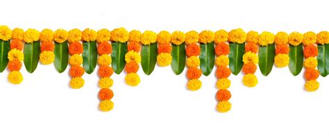 Image result for Class 10 Computer Sample Paper