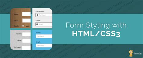 Form CSS Styles 的图像结果
