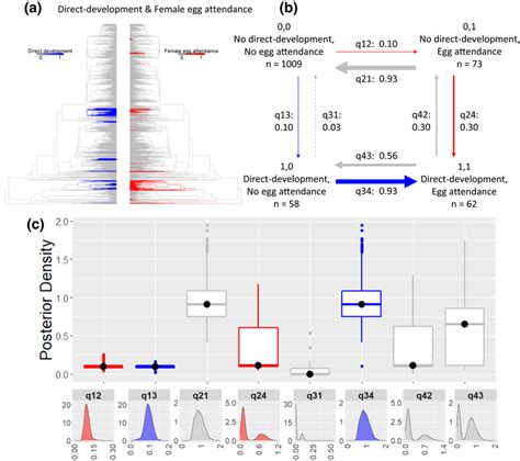 Image result for Direct Development