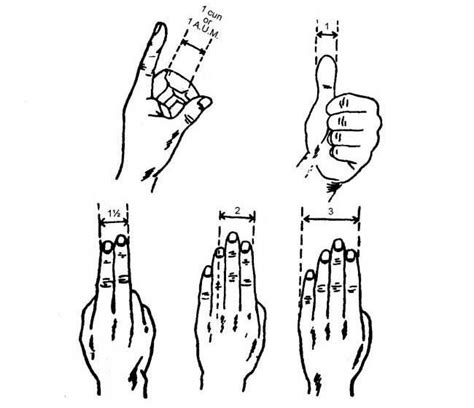 Chinese Body Measurement : Acupressure Research, Training and Treatment ...