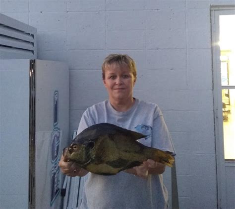 Image result for Shellcracker Fishing 2014