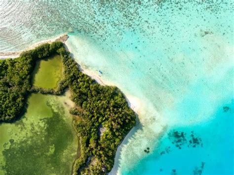 HEiC Format Image Sample - Download & Test HEiC Files