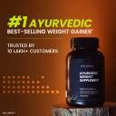 Ayuvya Ayurvedic Gain+ Weight Gainer Increasing Muscle Mass Supplement ...
