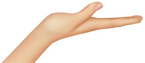 Palm Flat Hand Png – Free Clipart #3150184 | Clipart Library