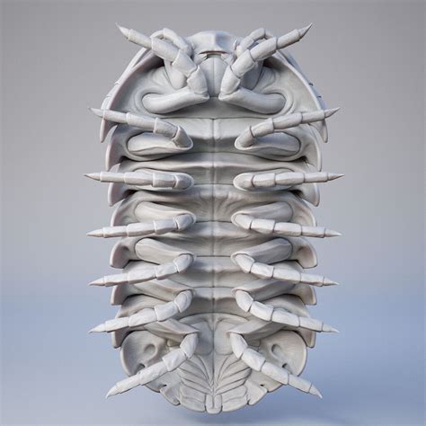 Rocky the Roly Poly - ZBrushCentral