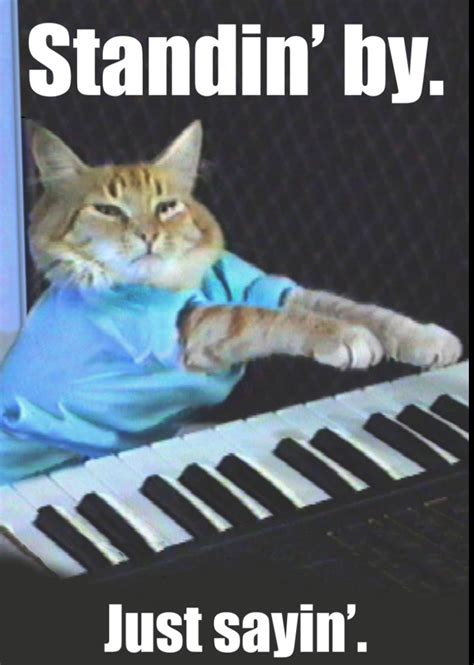 Image result for Keyboard Cat Meme